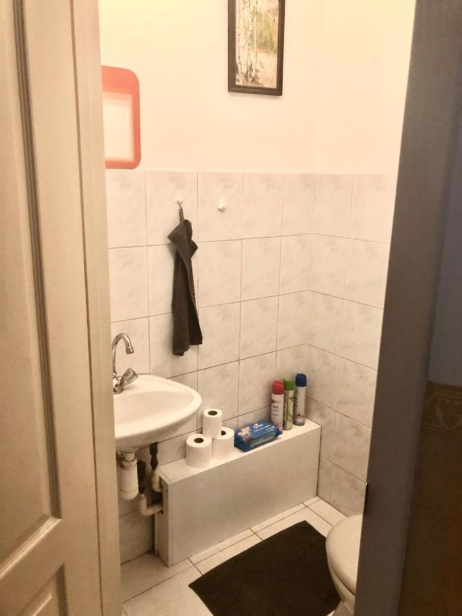 בודפשט Large Apartment With Garage And Terrace מראה חיצוני תמונה